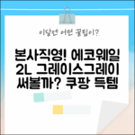 본사직영 에코웨일 2L, 그레이스그레이 써볼까?