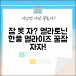 잠 못 이루는 밤, 멜라이즈 어때요? (한풍네이처팜 멜라토닌