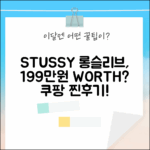 베이직 스투시 롱슬리브, 1995000원 가치 있을까요?