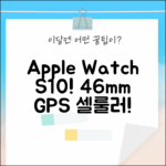 애플워치 S10 46mm GPS 셀룰러 제트블랙! 관부가세 포함, 초보도 득템!