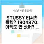 베이직 스투시 티셔츠 1904870, 아직도 안 샀어?