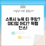 스투시 뉴욕 챕터 티, 남성 미디엄, 어디서 구할까?