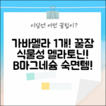 가바멜라 1개! 숙면 보장, 식물성 멜라토닌+비타민B+마그네슘!