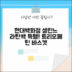 현대백화점 셀린느 라탄백! 초보도 반할 트리오페 틴 & 바스켓