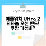 2024 애플워치 Ultra 2, 티타늄 오션 밴드 어때요?