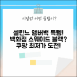 국내 백화점 구매, 셀린느 앰버백, 스웨이드 블랙?