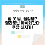 잠 못 이루는 밤, 멜라토닌 & 아쉬아간다 어때요?