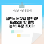 셀린느 스몰 버킷백 트리오페 탄: 완벽 가이드!