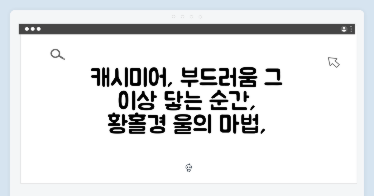 울 캐시미어, 부드러움의 경험