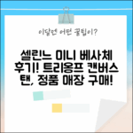 셀린느 미니 베사체 AS 후기: 트리옹프 캔버스 탠, 국내 정식 매장!