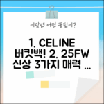 셀린느 25FW 스몰 버킷 백: B0021668784, 매력 3가지