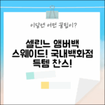 국내백화점구매) 셀린느 앰버백 블랙, 스웨이드의 유혹!