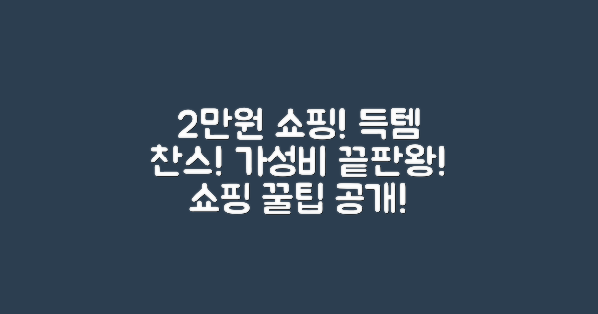 2만원대 가성비 쇼핑