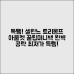 이탈리아 아울렛 득템! 셀린느 트리옹프 미니백 완벽 가이드