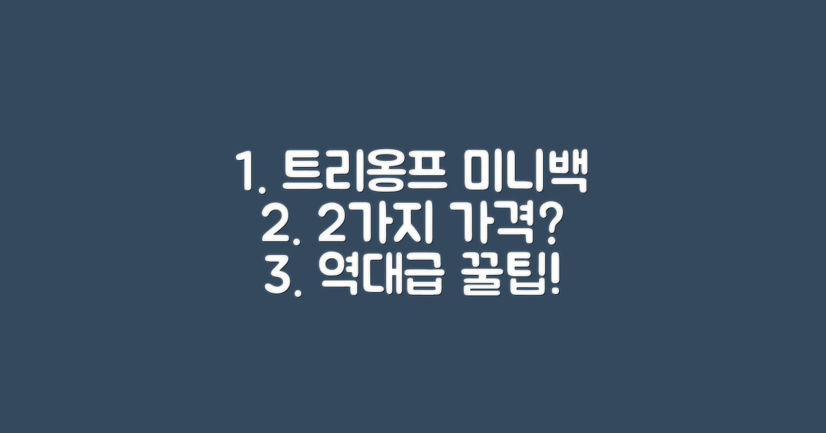 2가지 트리옹프 미니백 가격 정보