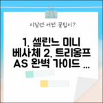 셀린느 미니 베사체, 트리옹프 AS 완벽 가이드 (국내 백화점 정식 매장