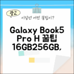 갤럭시 북5 Pro H NT965XHW 완벽 가이드: 16GB/256GB