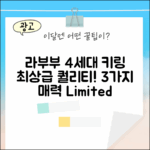 라부부 4세대 한정판 키링! 최상급 품질 3가지 매력