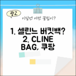 셀린느 버킷백, 이 가격에 살 수 있을까요? (191442CAS 04LU