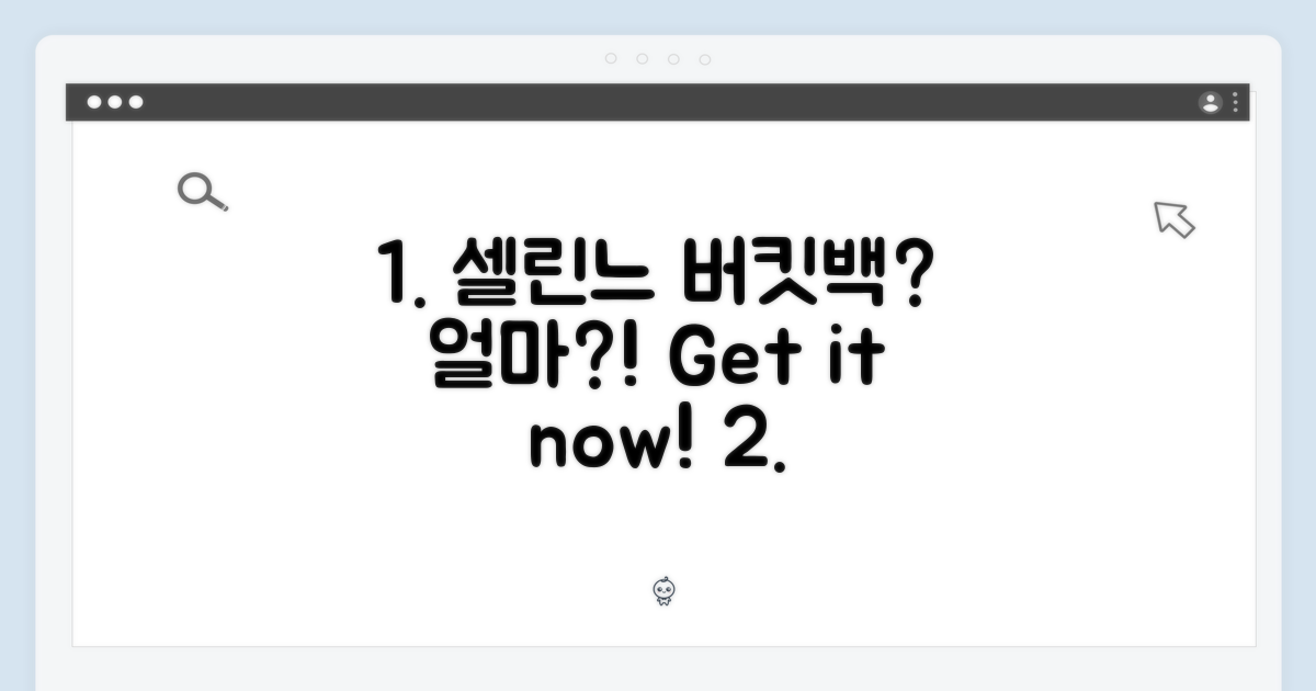 셀린느 버킷백, 이 가격에 살 수 있을까요? (191442CAS 04LU