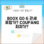 오닉스 BOOX GO 6, 관세 포함 가격 얼마일까요?