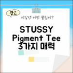 스투시 1905084: 피그먼트 클래식 티 3가지 매력