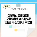 셀린느 트리오페 숄더백, AS도 쉽게!