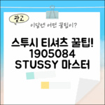 스투시 피그먼트 티셔츠 마스터하기 1905084