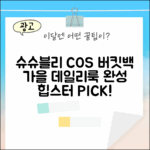 슈슈블리 COS 버킷백, 가을 데일리룩 완성될까?