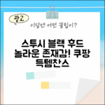스투시 베이직 후드집업 블랙, 놀라운 존재감!