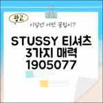 스투시 피그먼트 다이드 티셔츠 1905077, 3가지 매력