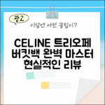 탄 셀린느 트리오페 버킷백 완벽 마스터