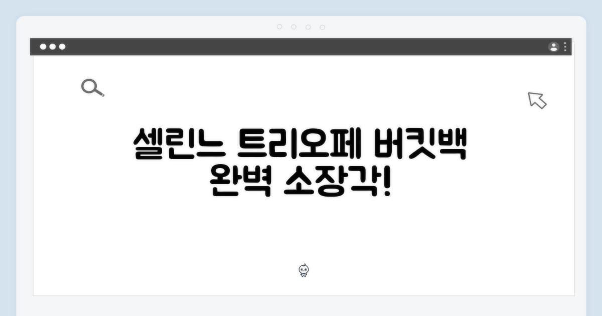 셀린느 탄 트리오페 버킷백 완벽 마스터