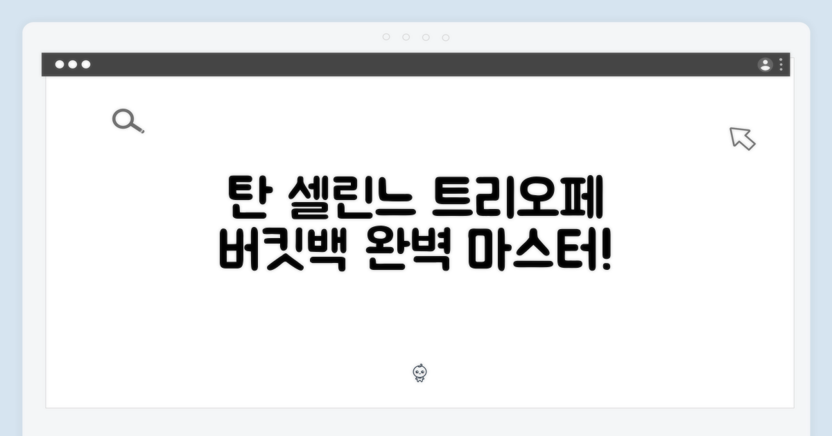 탄 셀린느 트리오페 버킷백 완벽 마스터