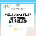 놀라운 스투시 2024 베이직 티 (블랙/화이트